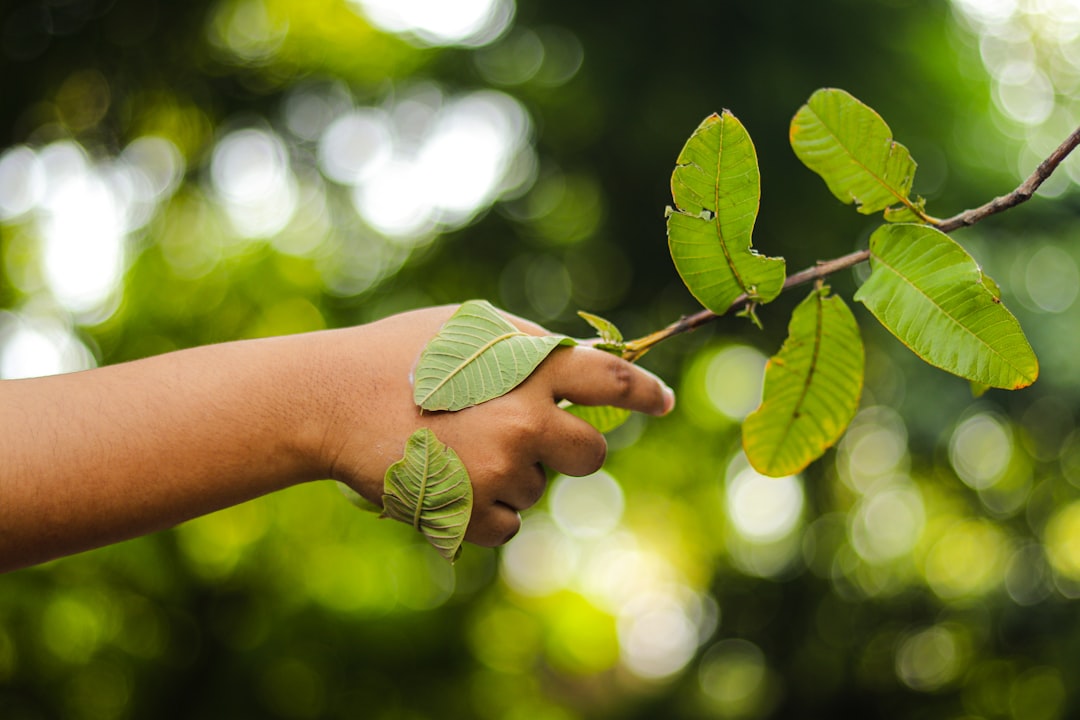 Innowacyjne modele współpracy dla klimatu